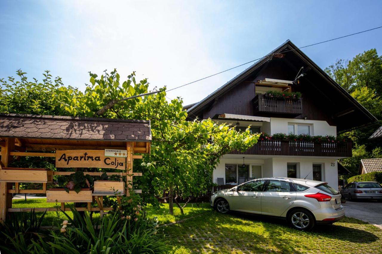 Apartmaji Colja Bohinj Zewnętrze zdjęcie